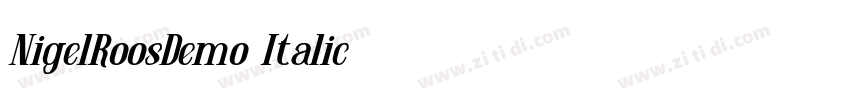 NigelRoosDemo Italic字体转换